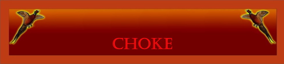 Direct link to Choke shop Proarme.