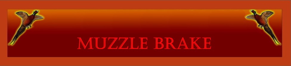 Direct link to Muzzle Brake shop Proarme